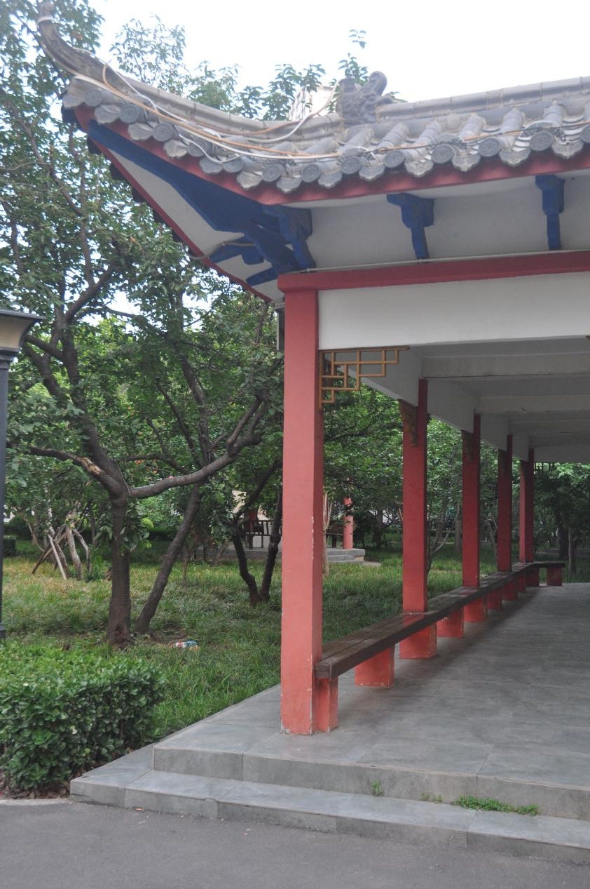 wps图片(2)